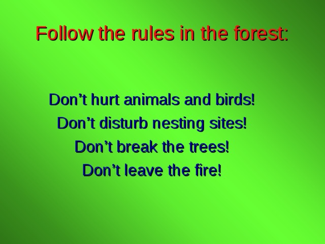 Follow the rules in the forest: Don’t hurt animals and birds! Don’t disturb nesting sites! Don’t break the trees! Don’t leave the fire! 