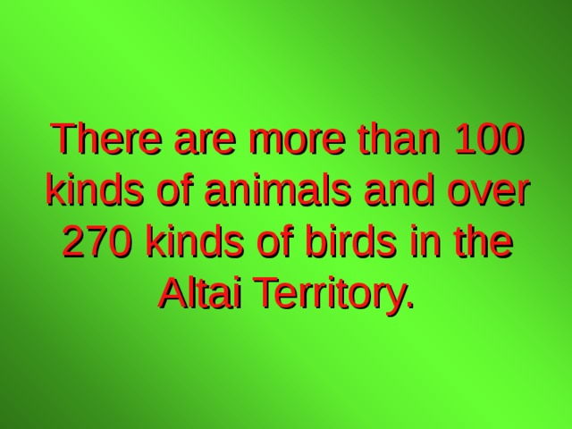 There are more than 100 kinds of animals and over  270 kinds of birds in the Altai Territory. 