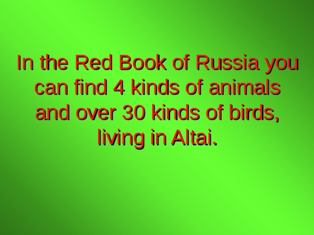 In the Red Book of Russia you can find 4 kinds of animals and over 30 kinds of birds, living in Altai. 