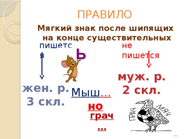 ПРАВИЛО Мягкий знак после шипящих на конце существительных пишется не пишется муж. р. 2 скл. жен. р. 3 скл. Мыш ... но грач… 