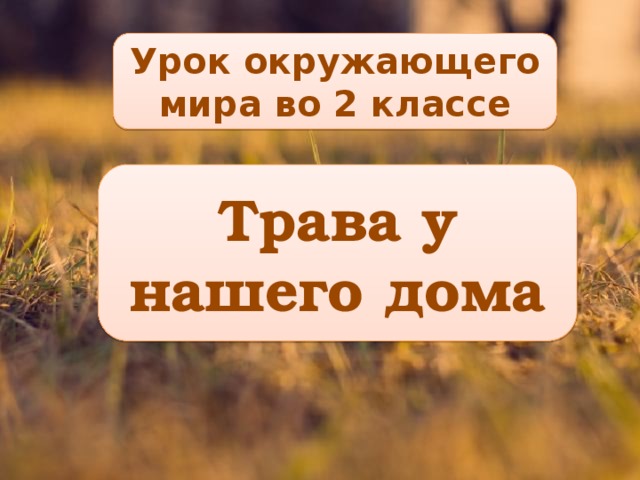 Урок окружающего мира во 2 классе Трава у нашего дома 