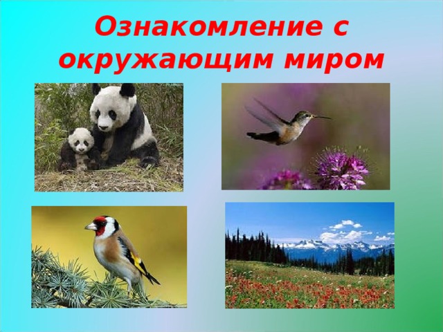 Окружающий мир средняя. Ознакомление с окружающим миром. Ознакомлен е с окружающим мирос. Ознакомление с миром природы. Ознакомление окружающий мир.