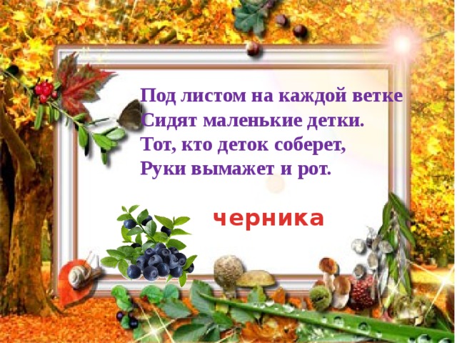 Под листом на каждой ветке Сидят маленькие детки. Тот, кто деток соберет, Руки вымажет и рот. черника 