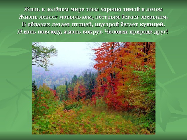    Жить в зелёном мире этом хорошо зимой и летом  Жизнь летает мотыльком, пёстрым бегает зверьком.  В облаках летает птицей, шустрой бегает куницей.  Жизнь повсюду, жизнь вокруг. Человек природе друг!     