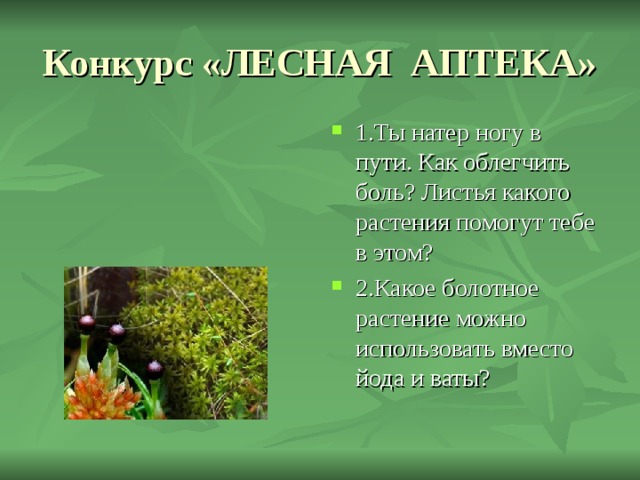 Конкурс «ЛЕСНАЯ АПТЕКА» 1.Ты натер ногу в пути. Как облегчить боль? Листья какого растения помогут тебе в этом? 2.Какое болотное растение можно использовать вместо йода и ваты? 