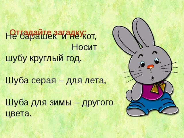 Одетый летом загадка