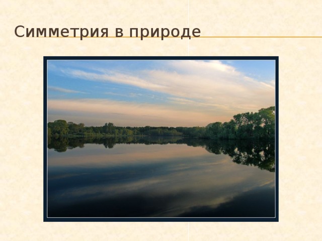 Симметрия в природе 