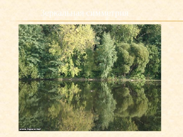 Зеркальная симметрия 