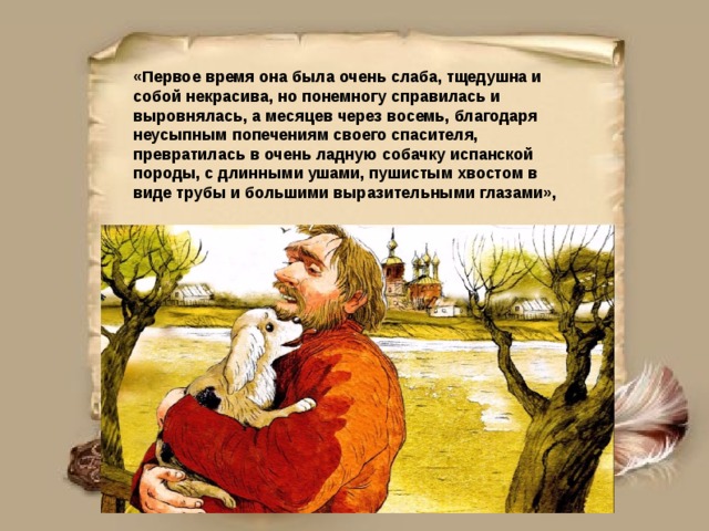 «Первое время она была очень слаба, тщедушна и собой некрасива, но понемногу справилась и выровнялась, а месяцев через восемь, благодаря неусыпным попечениям своего спасителя, превратилась в очень ладную собачку испанской породы, с длинными ушами, пушистым хвостом в виде трубы и большими выразительными глазами», 