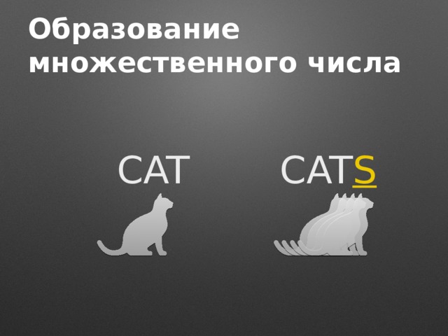 Образование множественного числа CAT CAT S 