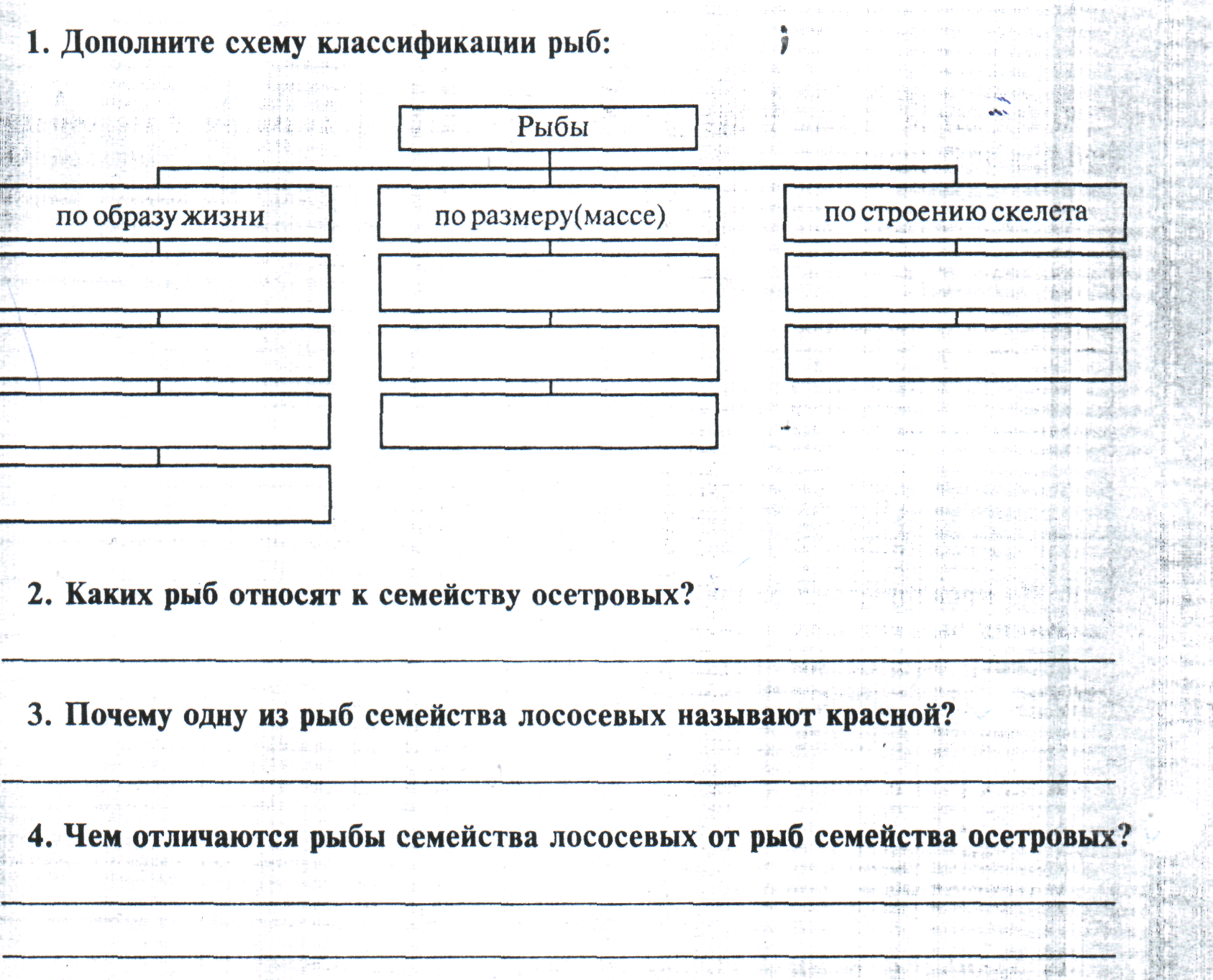 Дополните схему классификации рыб по температуре в толще мышц