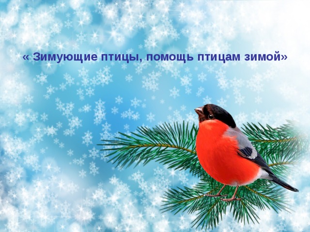 « Зимующие птицы, помощь птицам зимой» 