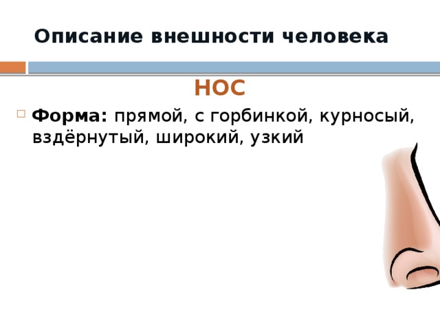 Описание внешности