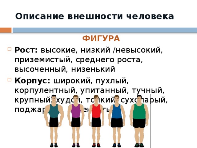 План описания внешности человека 7 класс русский язык