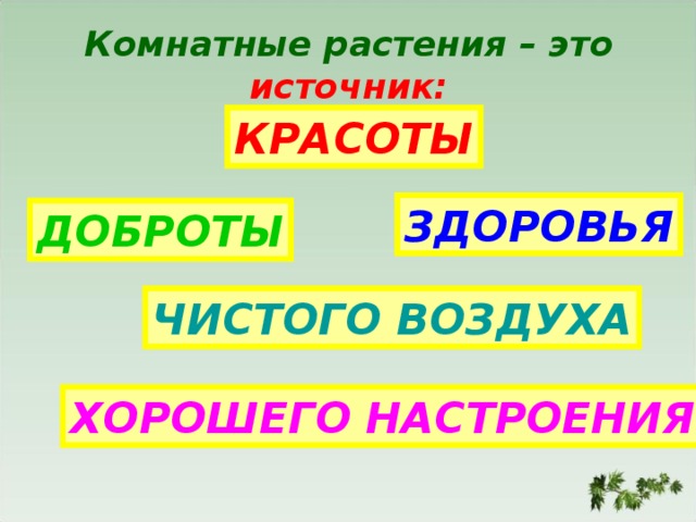 Презентация комнатные растения 2. Презентация комнатные растения это источник.