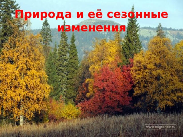 Природа и её сезонные изменения 