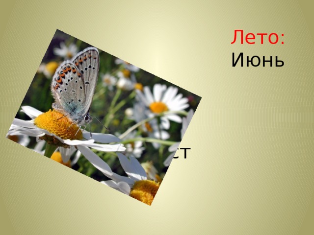  Лето:   Июнь  Июль  Август 
