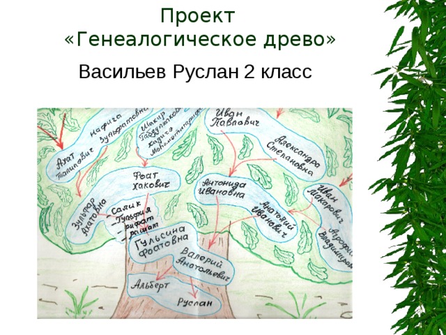 Проект  «Генеалогическое древо» Васильев Руслан 2 класс