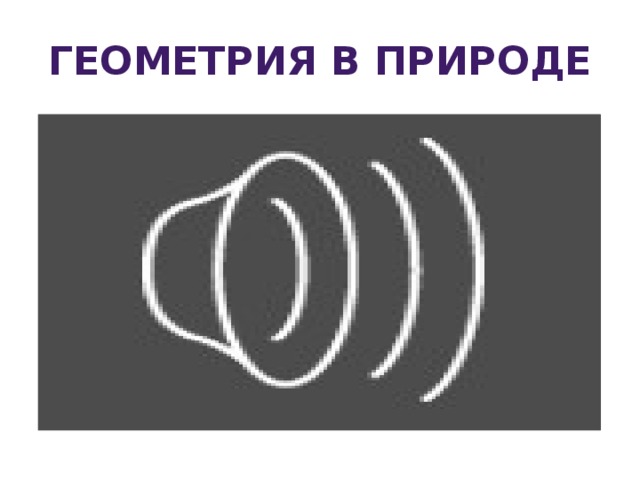 Геометрия в природе 