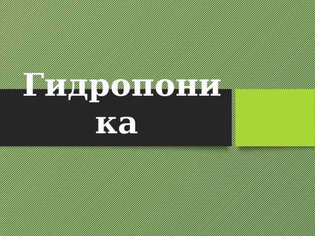  Гидропоника 