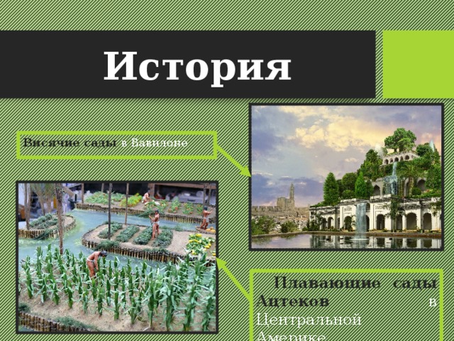 История Висячие сады в Вавилоне Плавающие сады Ацтеков в Центральной Америке 