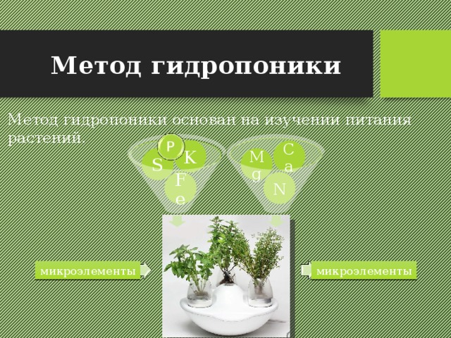 Метод гидропоники Метод гидропоники основан на изучении питания растений. K Ca S Mg Fe N микроэлементы микроэлементы 