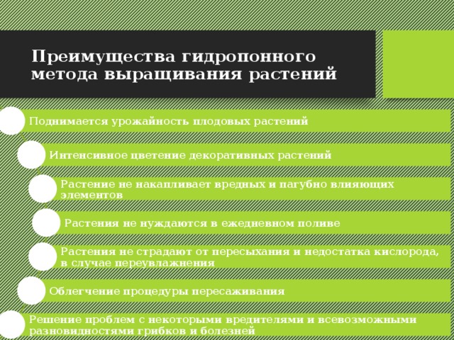 Преимущества гидропонного метода выращивания растений Поднимается урожайность плодовых растений Интенсивное цветение декоративных растений Растение не накапливает вредных и пагубно влияющих элементов Растения не нуждаются в ежедневном поливе Растения не страдают от пересыхания и недостатка кислорода, в случае переувлажнения Облегчение процедуры пересаживания Решение проблем с некоторыми вредителями и всевозможными разновидностями грибков и болезней 