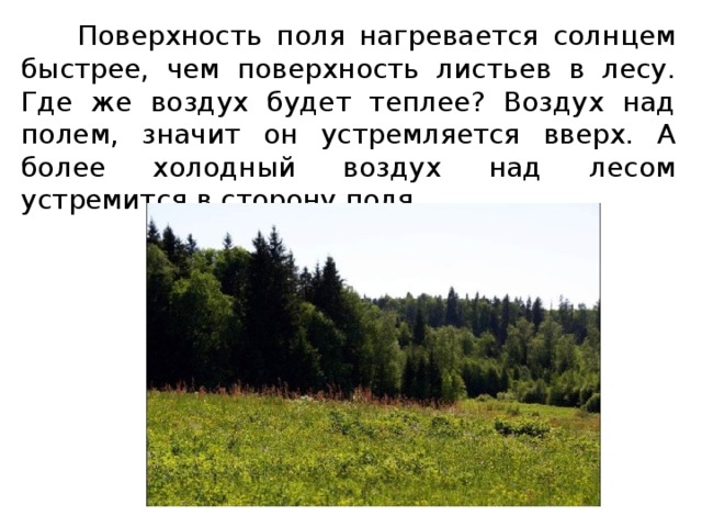 Что обозначает поле. Тепло в атмосфере в лесу. Тепло и лес где это. Где сильней будет нагреваться воздух над пашней или над лесом?. В каких местах в лесах тепло.