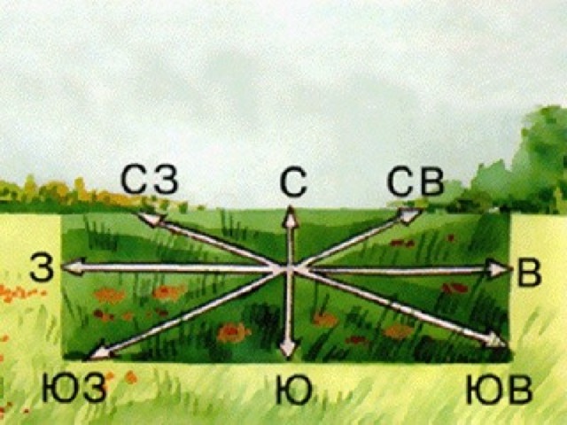 Какому направлению стороны. Направление на стороны горизонта меридианы. План местности Север Юг Запад Восток. Как ориентироваться по направлению ветра. План местности стрелка градусная сетка.