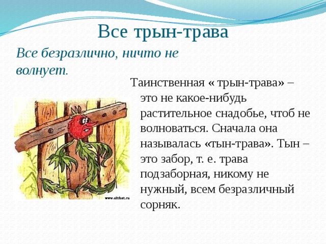 Все трын-трава Все безразлично, ничто не волнует. Таинственная « трын-трава» – это не какое-нибудь растительное снадобье, чтоб не волноваться. Сначала она называлась «тын-трава». Тын – это забор, т. е. трава подзаборная, никому не нужный, всем безразличный сорняк. 