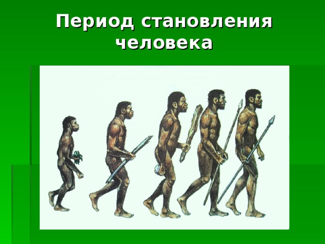 Сочинение на тему становление человека. Период становления человека. Эпоха становления человека. Линейка становления человека. Лестница становления человека.