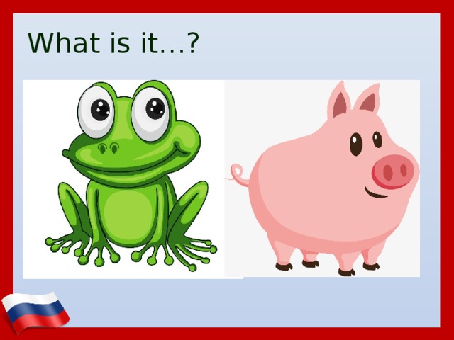 What is it…? 