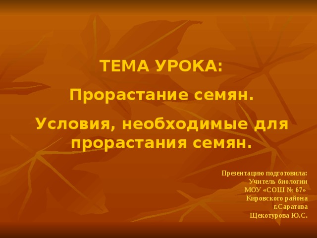  ТЕМА УРОКА: Прорастание семян. Условия, необходимые для прорастания семян.   Презентацию подготовила: Учитель биологии МОУ «СОШ № 67» Кировского района г.Саратова Щекотурова Ю.С.     