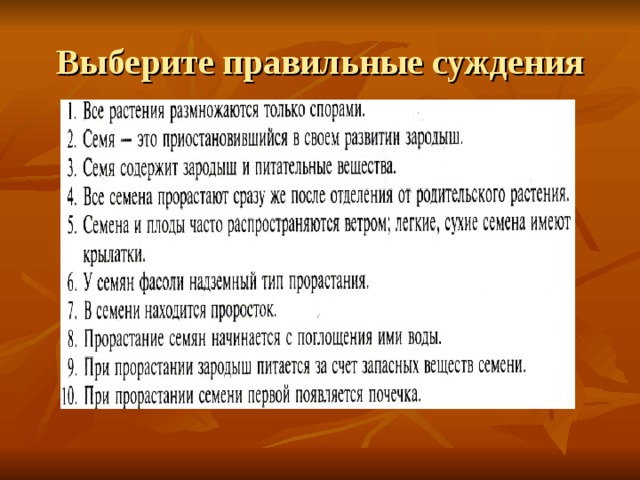 Выберите правильные суждения 