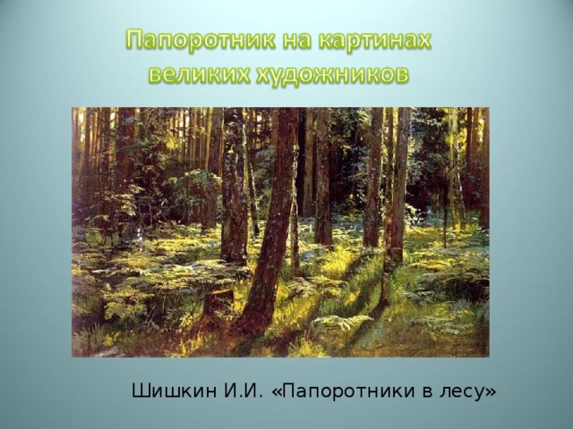 Шишкин И.И. «Папоротники в лесу» 