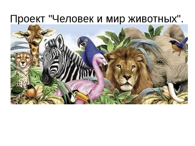Автор проекта: Караганова Татьяна, учащаяся 7 