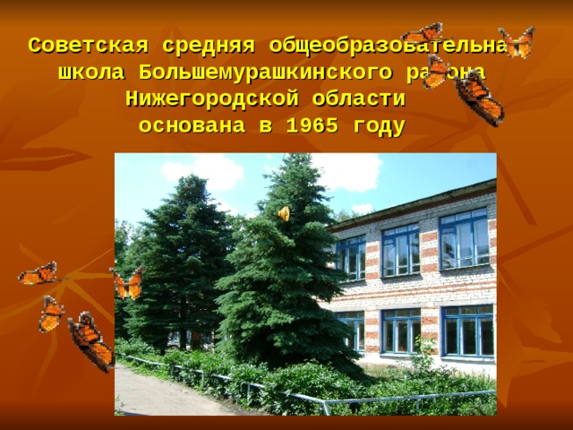 Сайт советской сош советского района