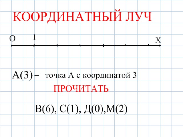 Координатный луч 5 класс презентация