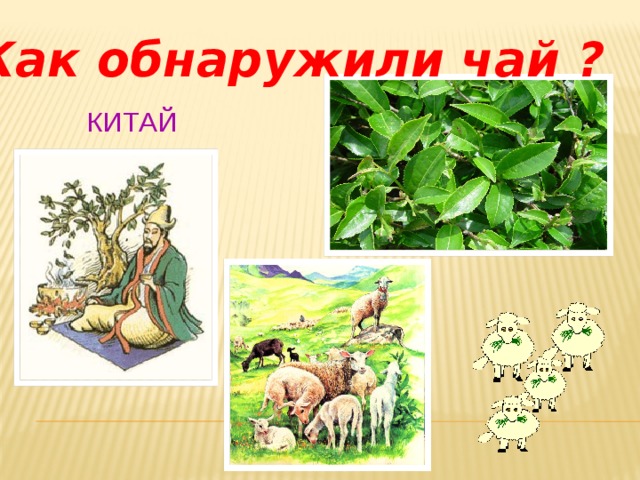 Как обнаружили чай ? китай 