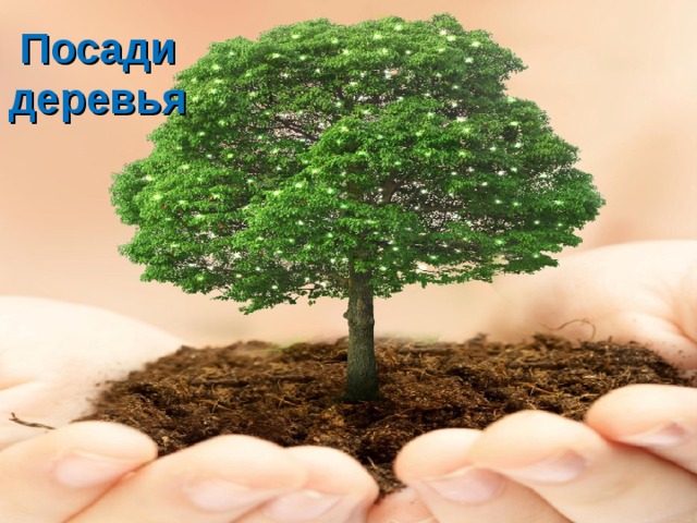 Посади деревья 