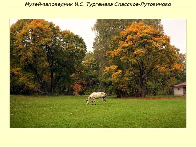 Музей-заповедник И.С. Тургенева Спасское-Лутовиново 