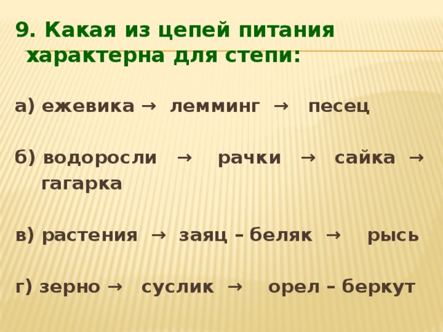 Схема цепи питания характерной для степной зоны