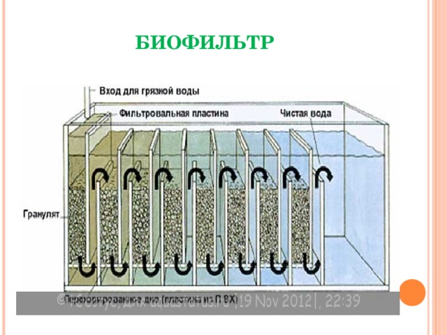 Схема биологического фильтра