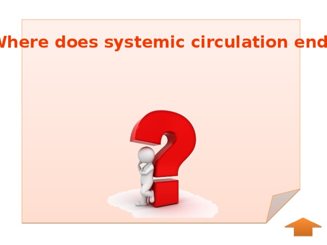 Where does systemic circulation end? 
