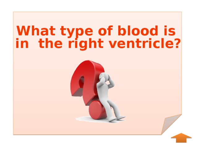 What type of blood is in the right ventricle? 