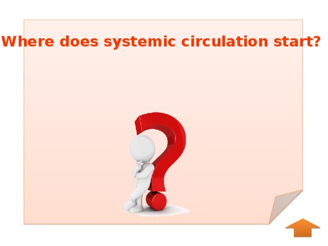 Where does systemic circulation start? 