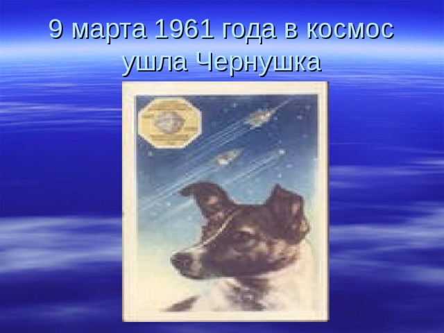 9 марта 1961 года в космос ушла Чернушка 
