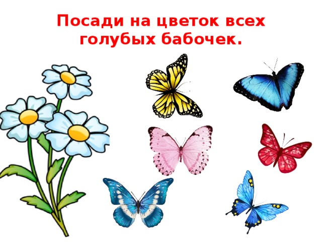 Посади на цветок всех голубых бабочек. 