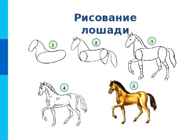 Рисование лошади 