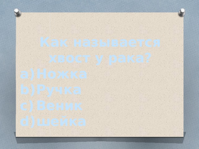 Как называется хвост у рака?